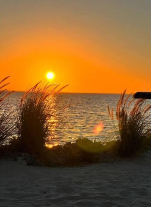 On The Rocks Villa Tampa Bagian luar foto