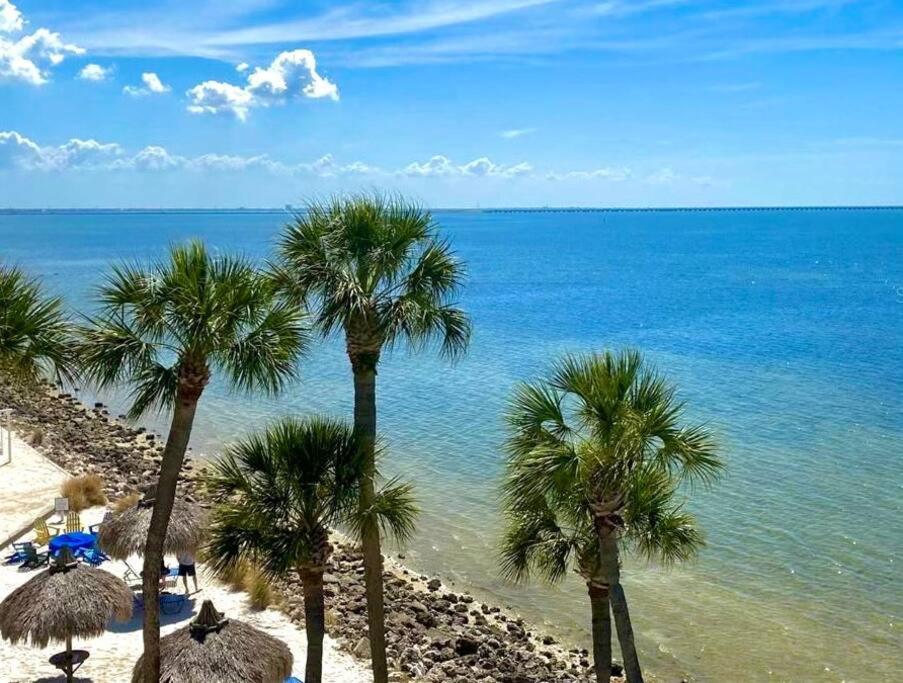 On The Rocks Villa Tampa Bagian luar foto