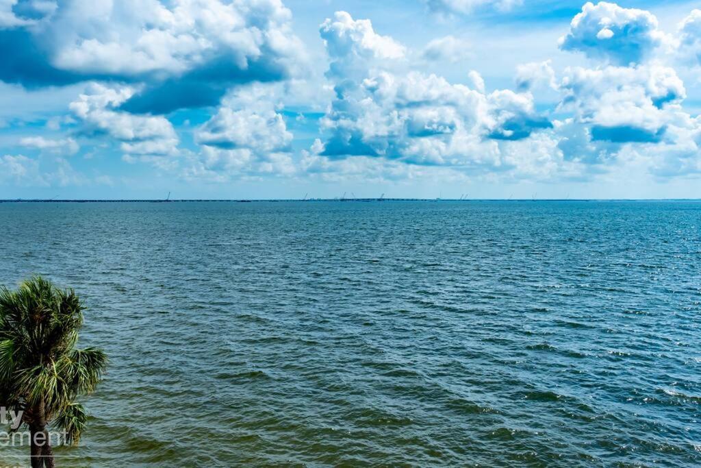On The Rocks Villa Tampa Bagian luar foto